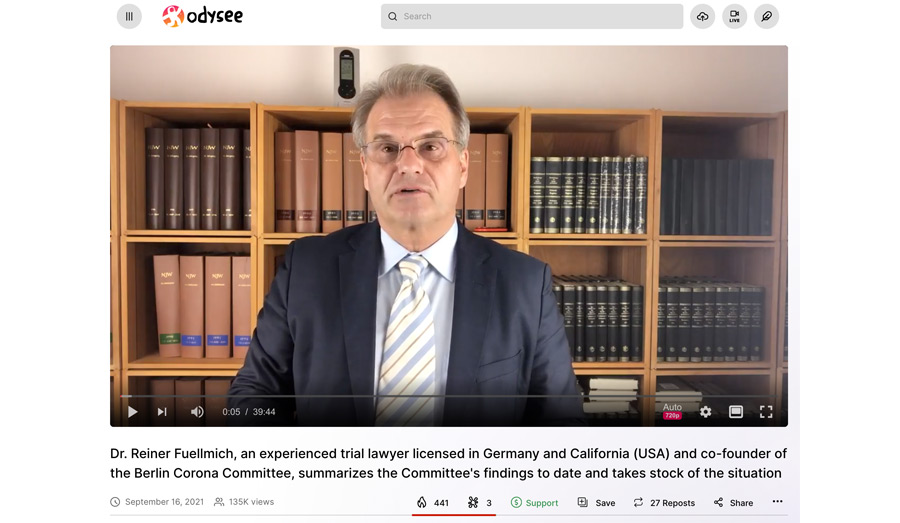 corona committee findings - summary